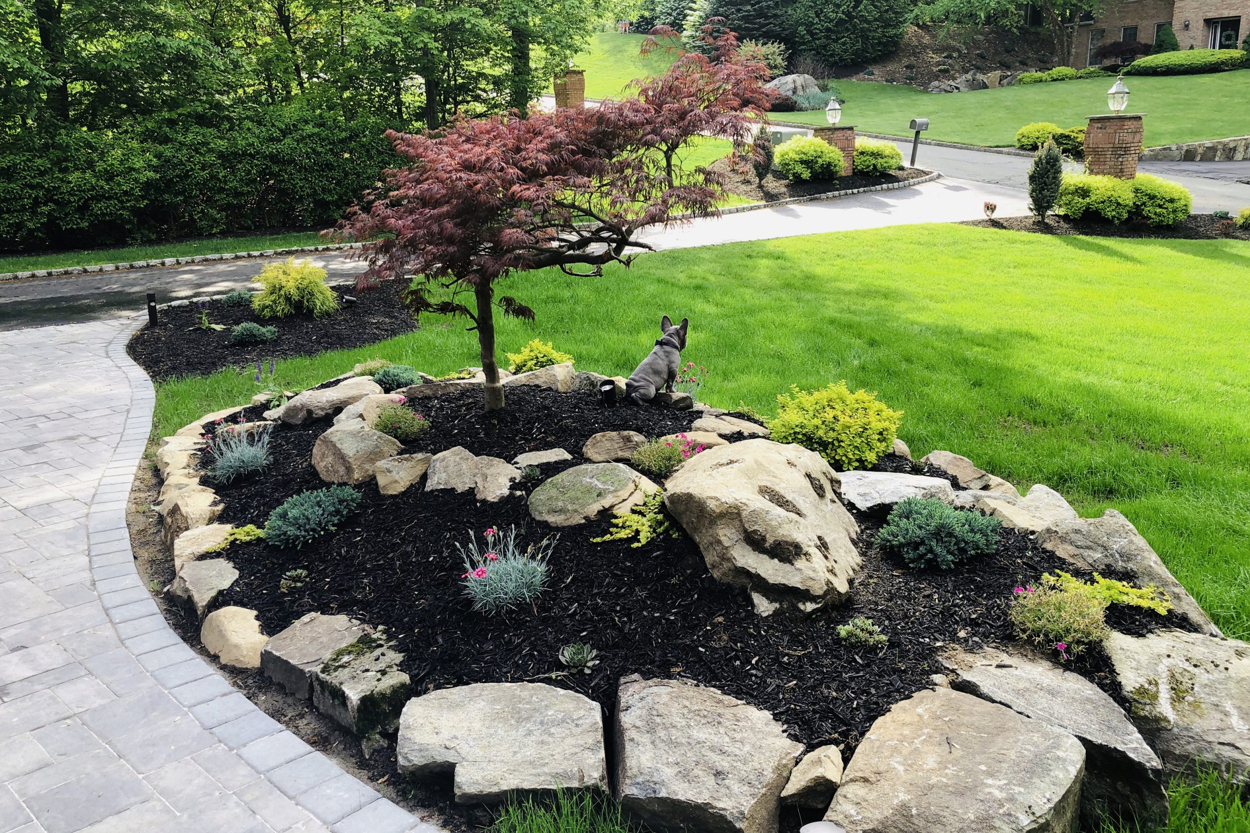 5 Landscaping Tips That Will Boost Your Yard’s Aesthetic